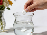 延长鲜花花期的养护技巧