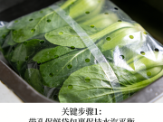 绿叶菜保鲜不发黄的妙招（水汽平衡 + 避光储存）