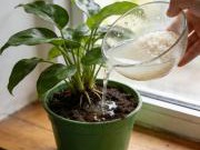 旧物改造、废物利用，生活妙招让资源不浪费