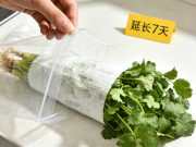 香菜保鲜不发黄 湿纸巾包裹 + 密封袋 延长 7 天