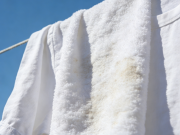 衣物顽固污渍去除大全