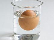 科普：为什么鸡蛋放入清水中沉底，盐水中漂浮？