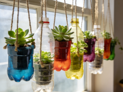 废旧塑料瓶的创意再利用