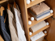 一颗樟脑丸，搞定衣柜发霉 + 虫子双难题