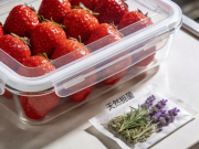 草莓保鲜 7 天不发霉 物理隔绝 + 抑菌双保险