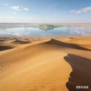 生成实用文章及图片 (17).jpg