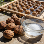 生成特定图片 (89).png